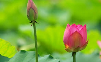 Những câu nói có thể thay đổi cuộc đời bạn